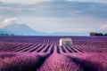 Lavender Field during Sunrise against Mountain and blue sky with a small House, Provence, France Royalty Free Stock Photo